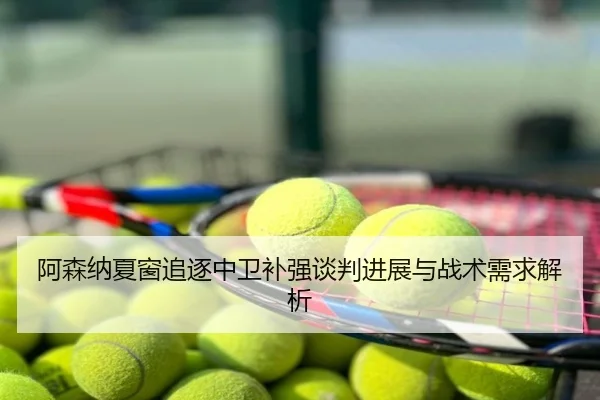 阿森纳夏窗追逐中卫补强谈判进展与战术需求解析