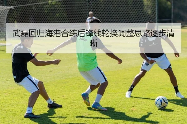 武磊回归海港合练后锋线轮换调整思路逐步清晰