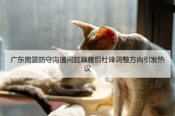 广东男篮防守沟通问题暴露后杜锋调整方向引发热议